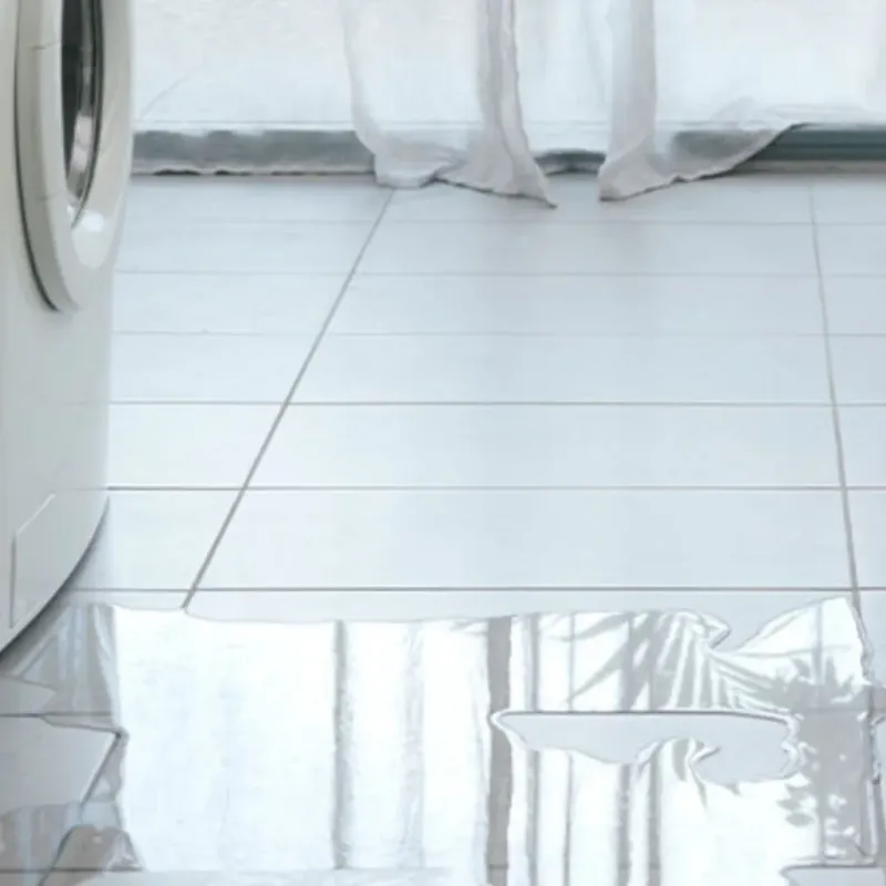 Appliance Leak Cleanup in Wrightsville, GA