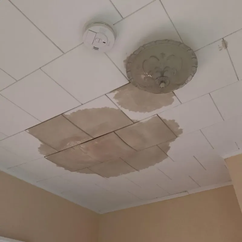 Ceiling Water Damage Repair in Wrightsville, GA